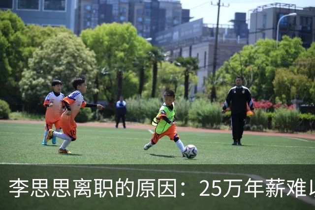 李思思离职的原因：25万年薪难以糊口！原来一切都有迹可循